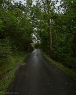 Photo of a road
